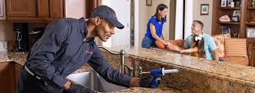 Professional Pest control in Bethany, IL